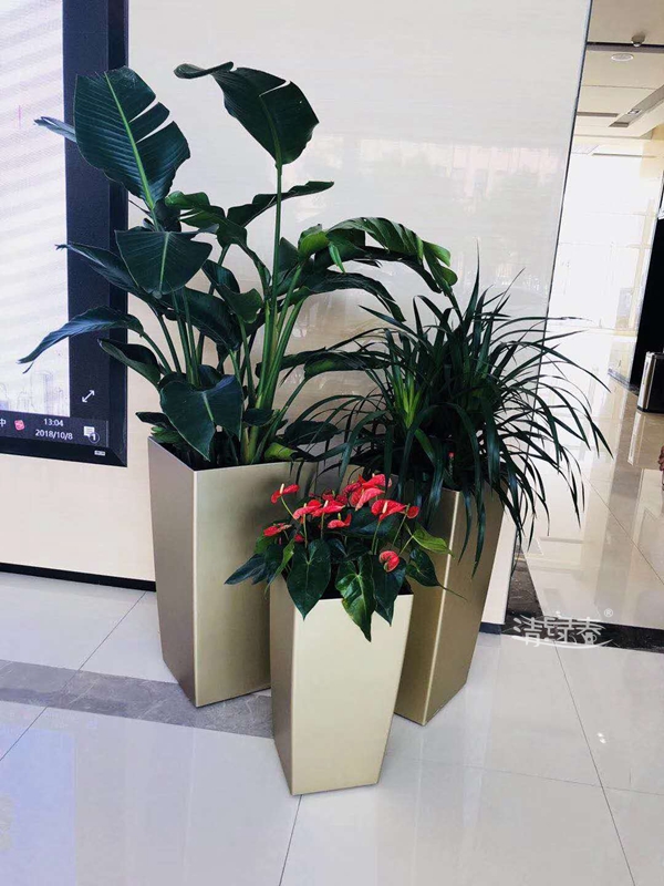 VݽMGUʩ